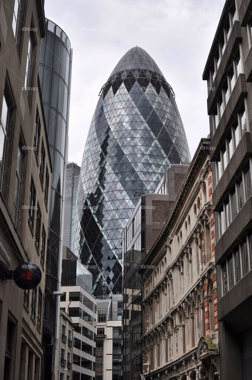 The gherkin