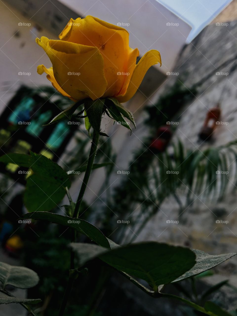 Flowers for beautiful people 🌸