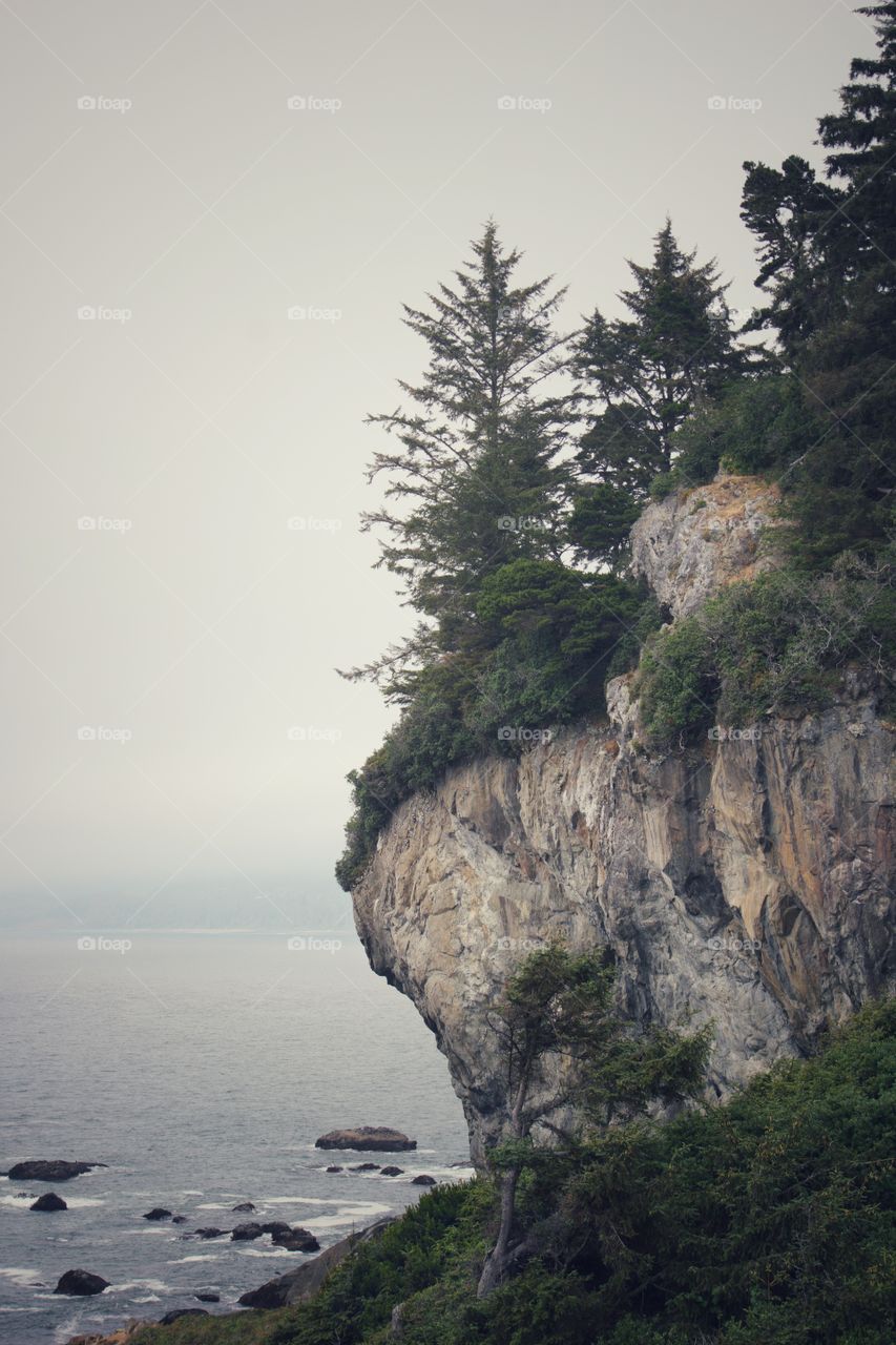 Patrick’s Point In Humboldt County California