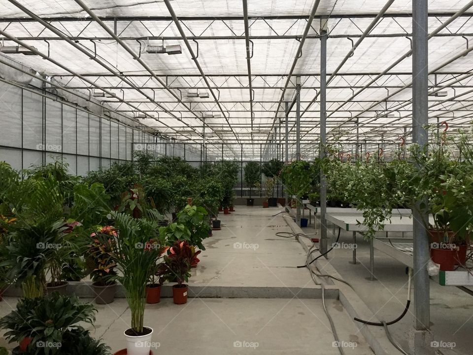 A very big pavilion in a flower shop