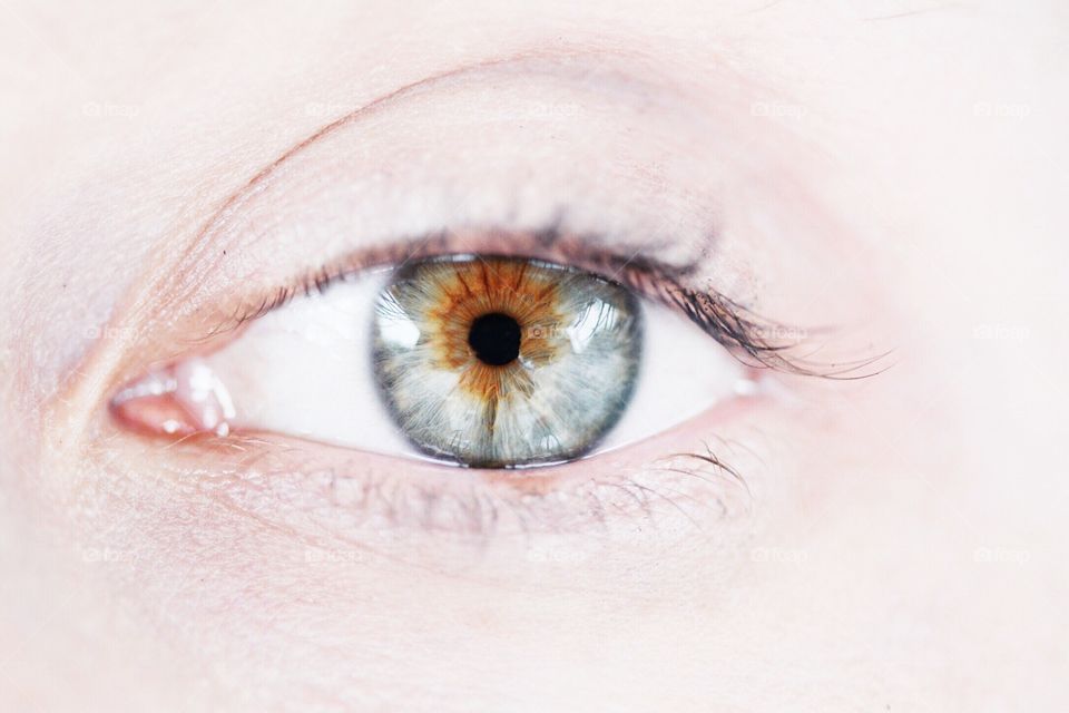 Close-up of woman eye