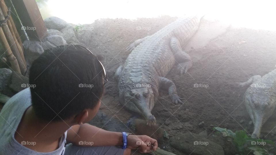 About human-crocodile conflict
The conflict between humans and wildlife is a major conservation issue. Put simply, conflict reduces the value of wildlife to people. 