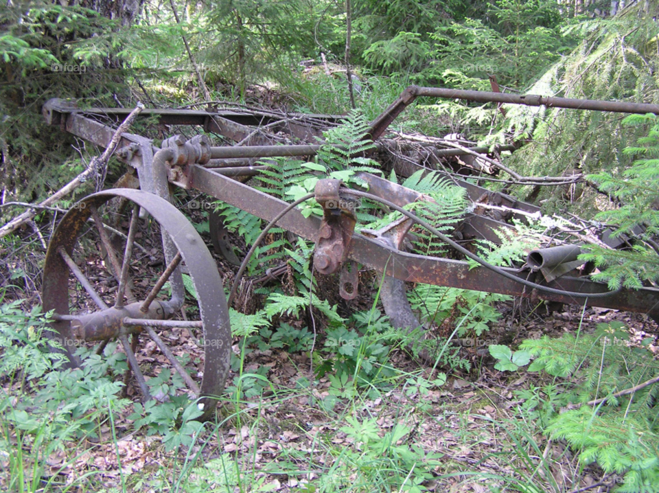 old harvest gammal skrot by MagnusPm