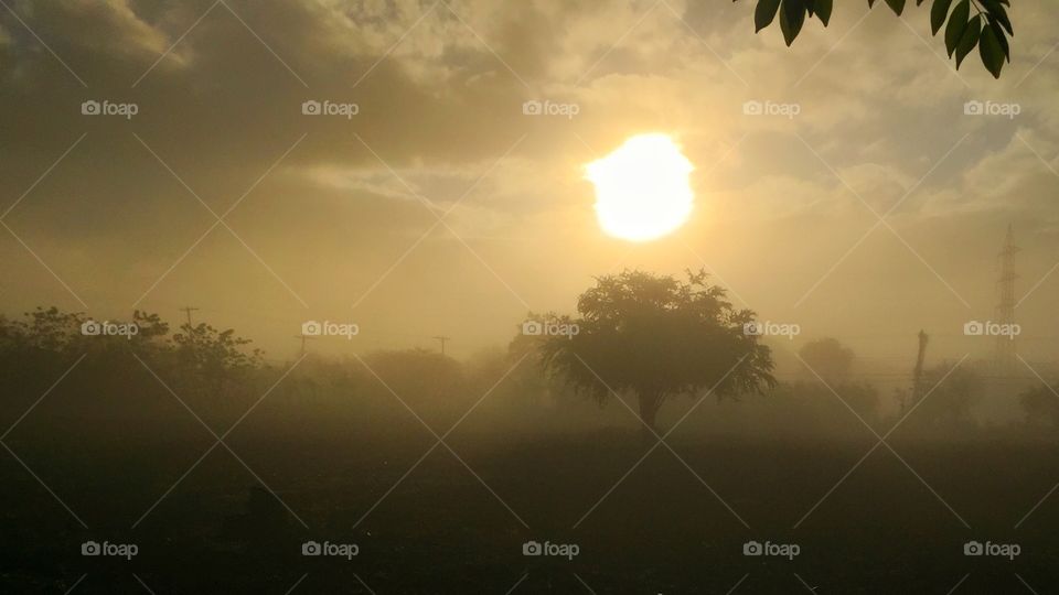 Early morning Fog