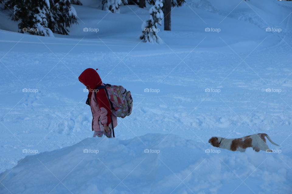 The girls and her dog walking on the snow