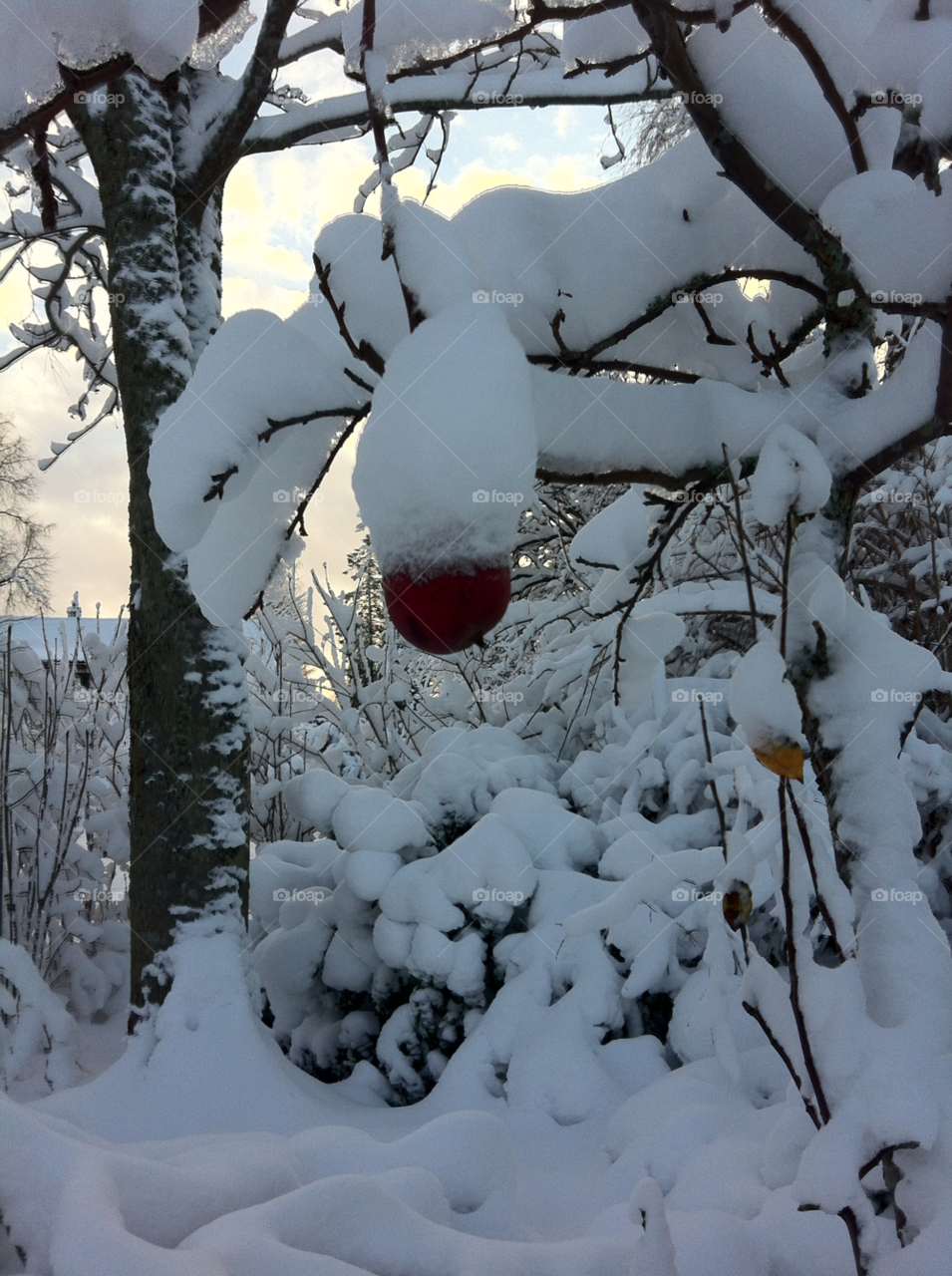 haninge snow winter sweden by tild