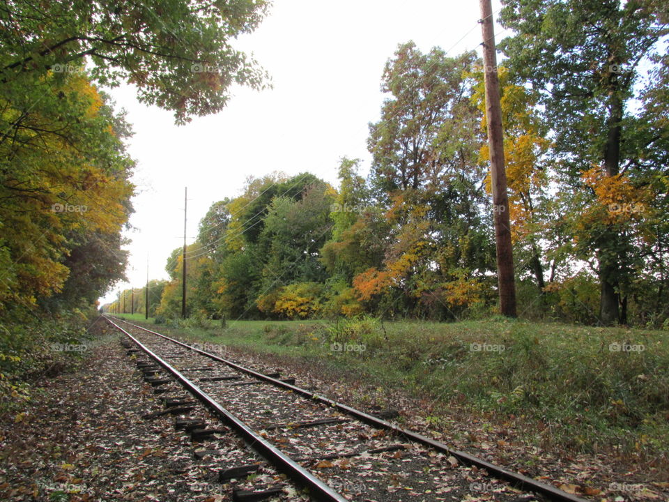 Locomotive, Railway, Railroad Track, Track, Train