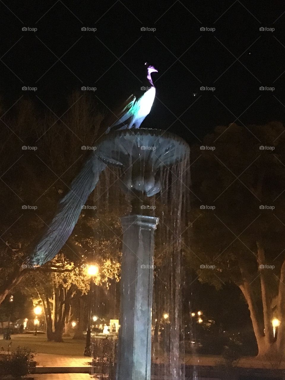 No Person, Architecture, City, Light, Travel