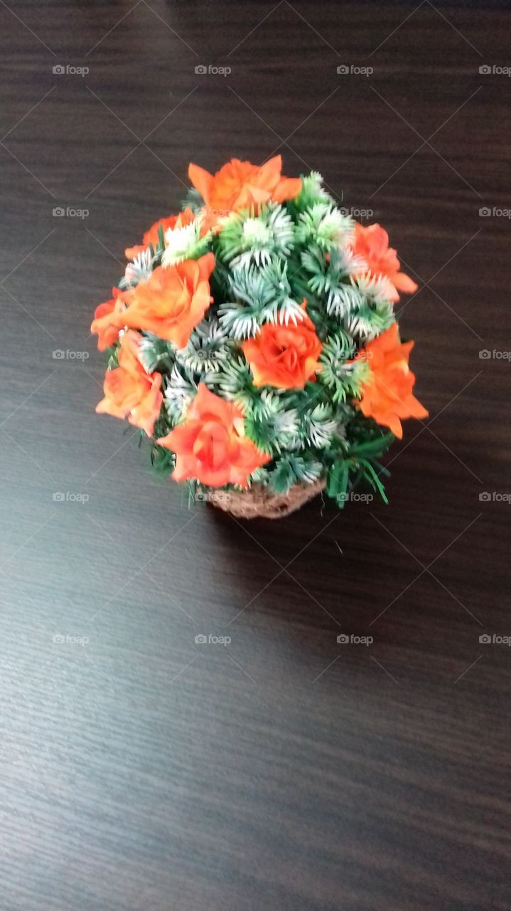 orange colour roses