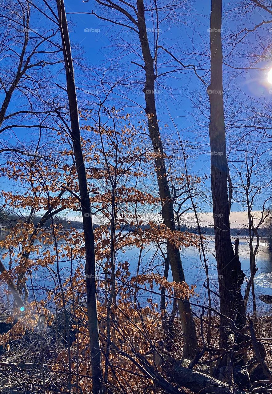 Calm moments on the lake