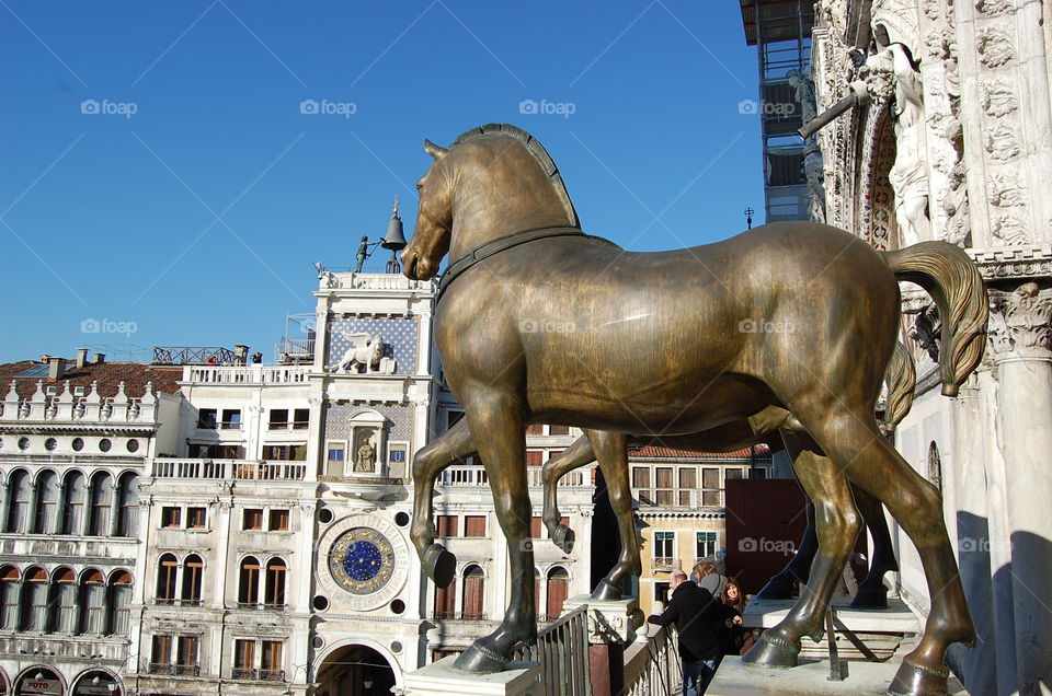 Venecia