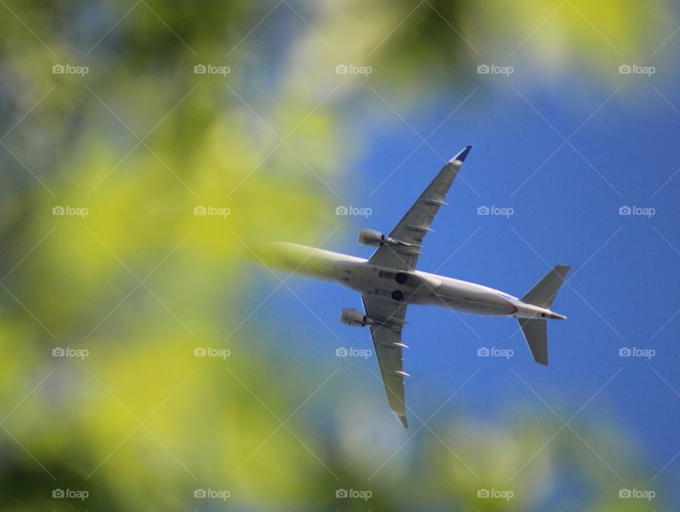 an airplane above the trees; above me