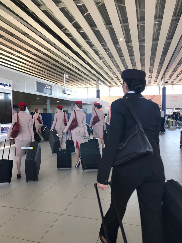 Azafatas vuelo