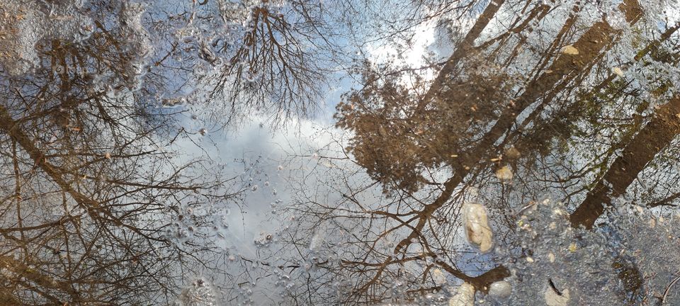 Puddles of water mirroring