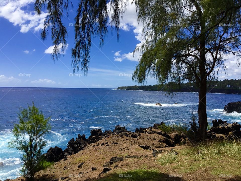 Seashore on the Big Island