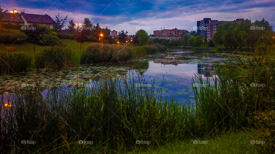 twilight over the water