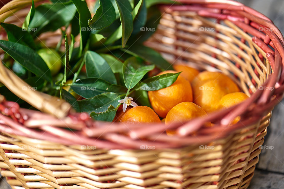 Orange fruits on basket