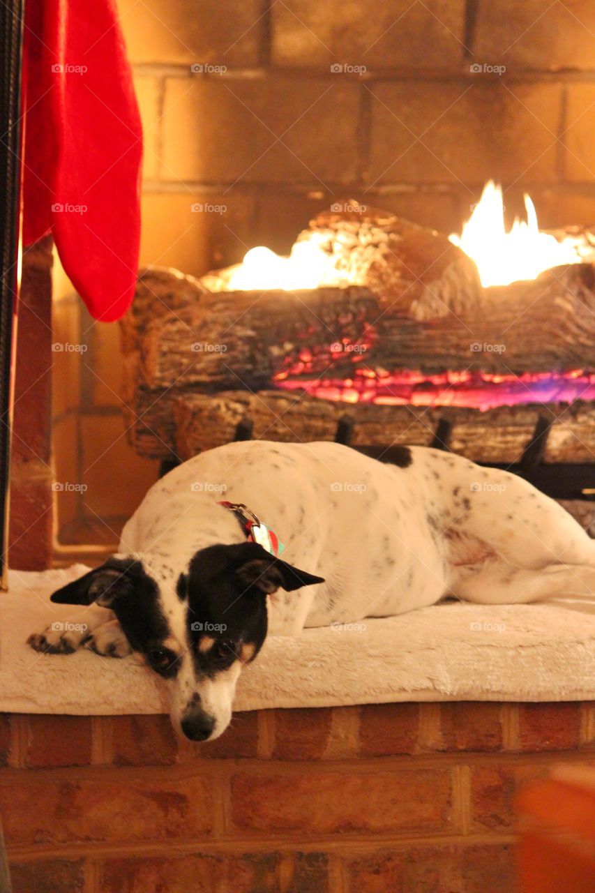 resting by the fireplace