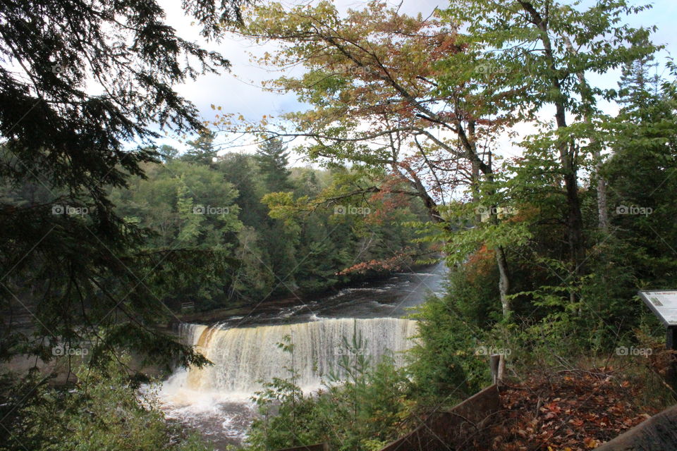 Fall at the falls