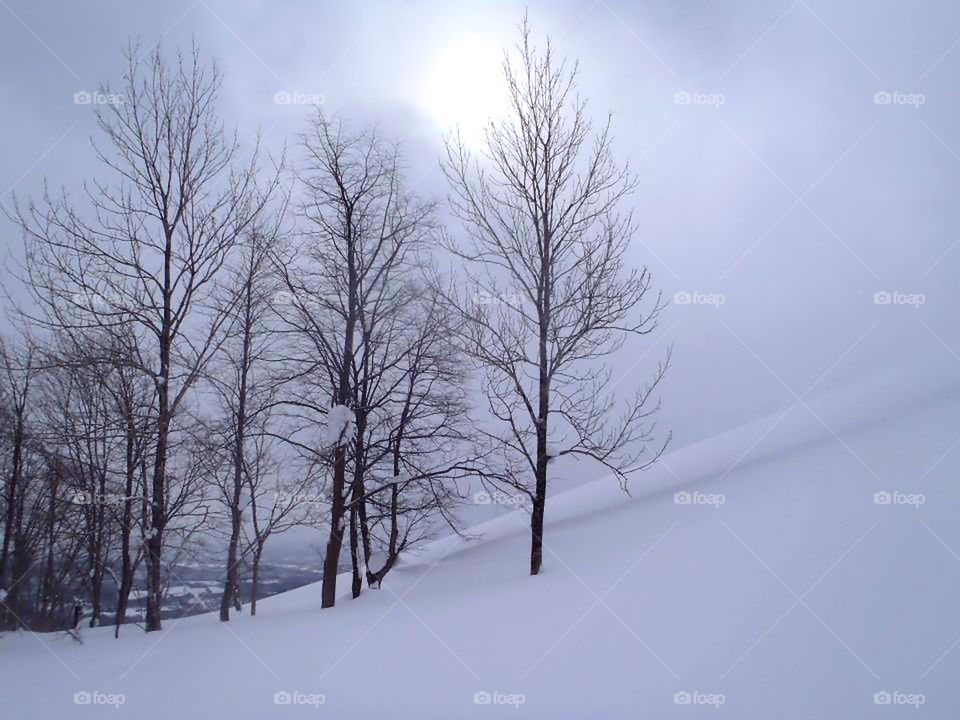 snow in mountain 