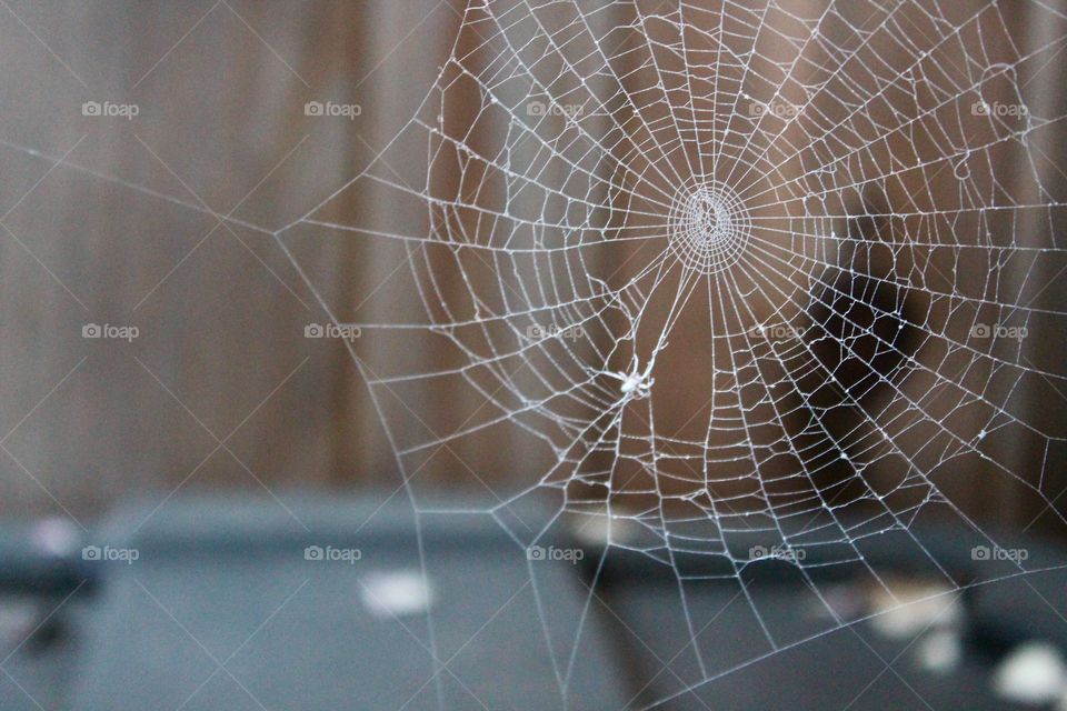 Beautiful closeup macro shot of a large white spider web outside with a blurry bokeh background