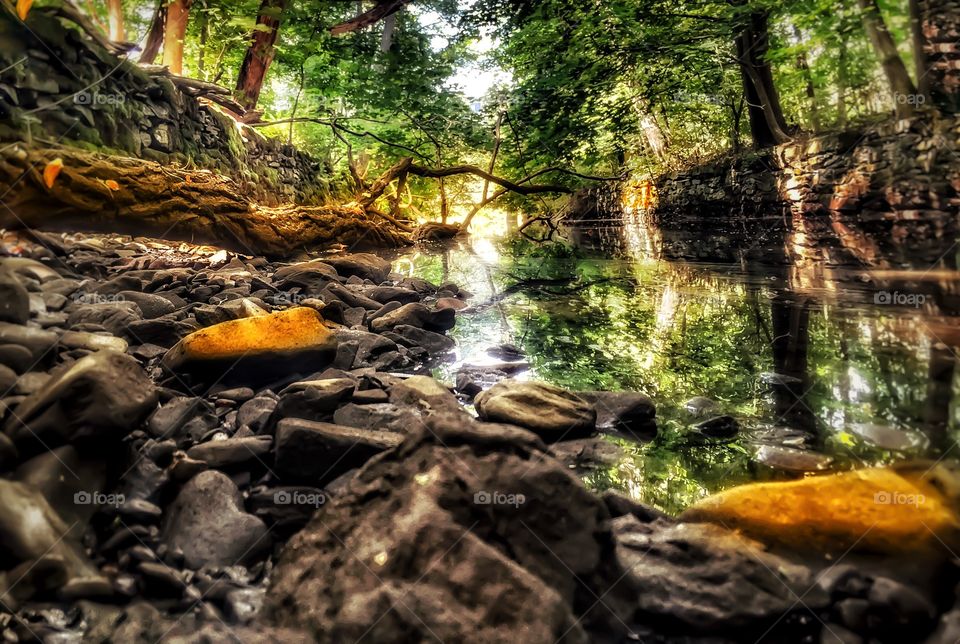 A twisted old tree floats. . A twisted old tree floating in a low stream right before a watershed to a large creek. 