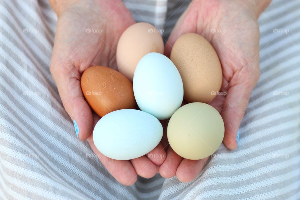 Person hands holding eggs
