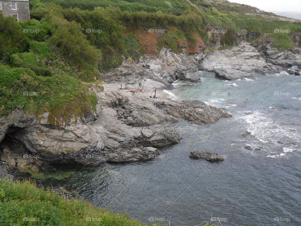 Stony cove
