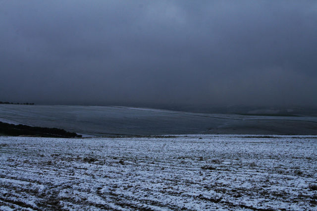 Neige