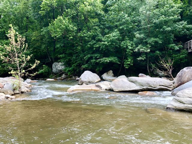 River and rocks