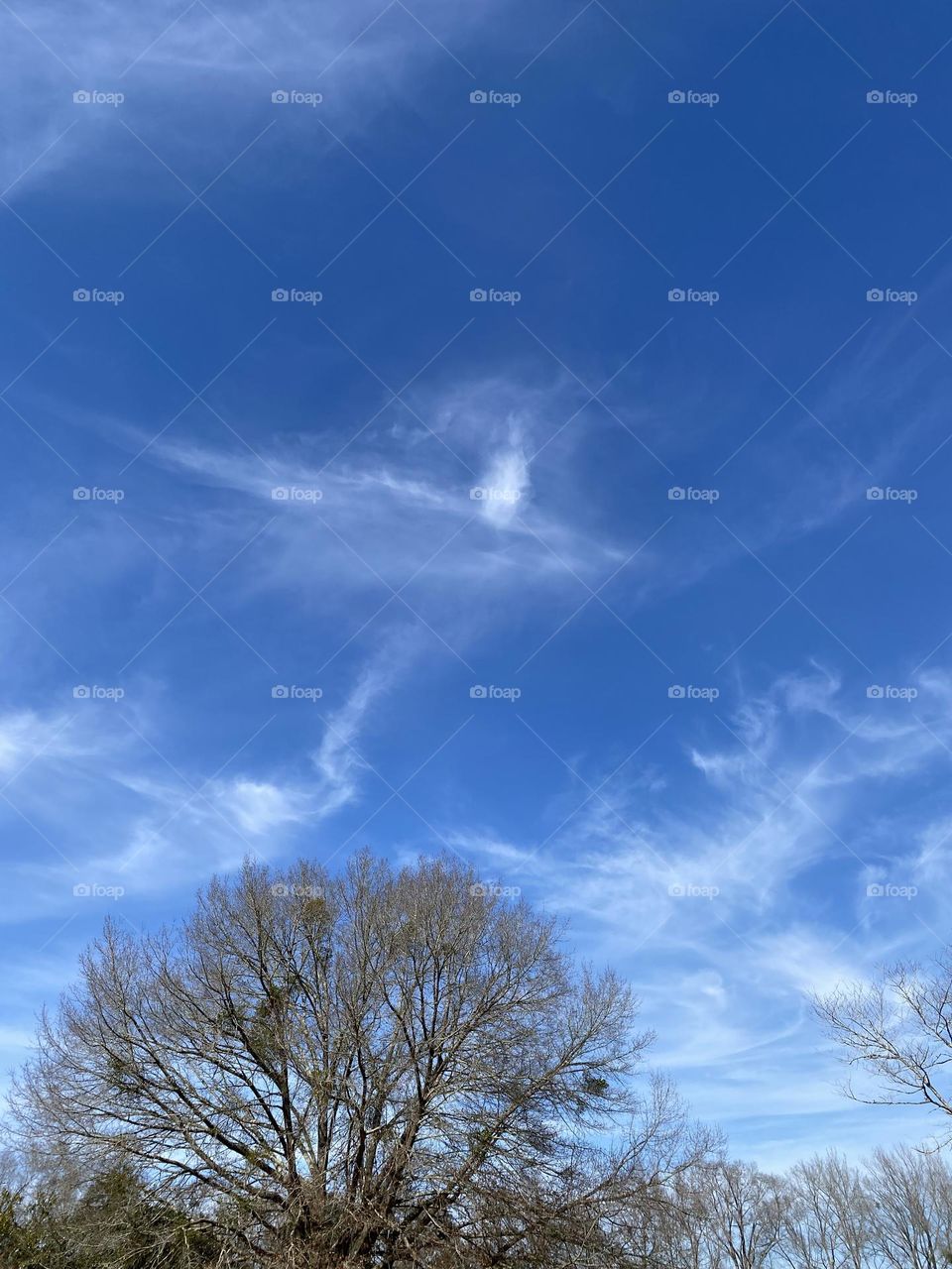 Angels in this beautiful sky 