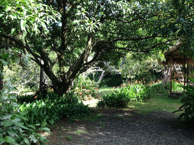 Saint Lucia