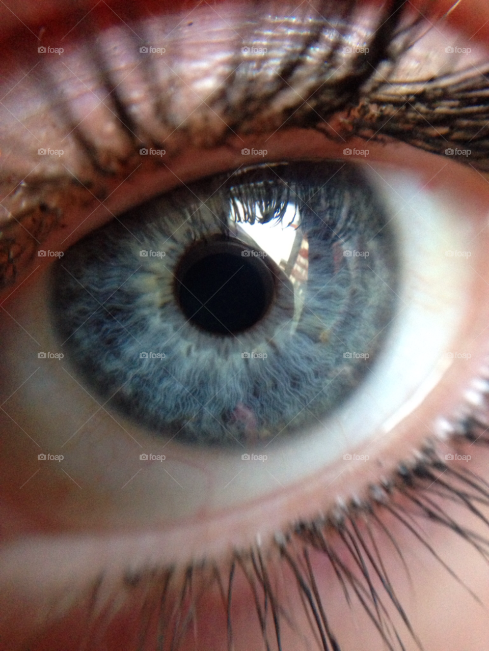 macro eye close up iphone by Elina