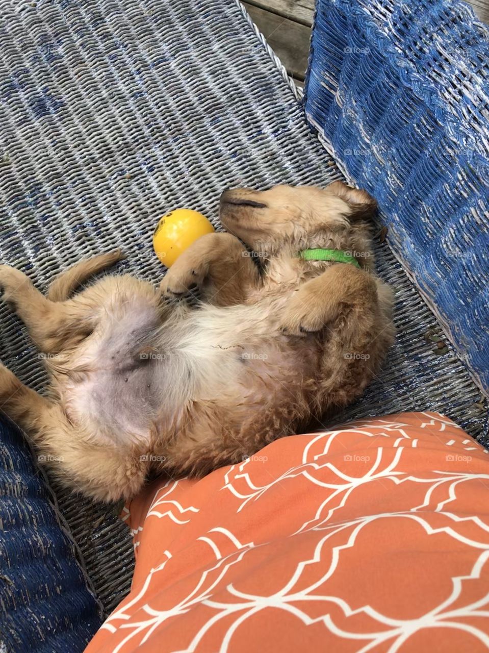 I’m tuckered out but don’t take my ball
