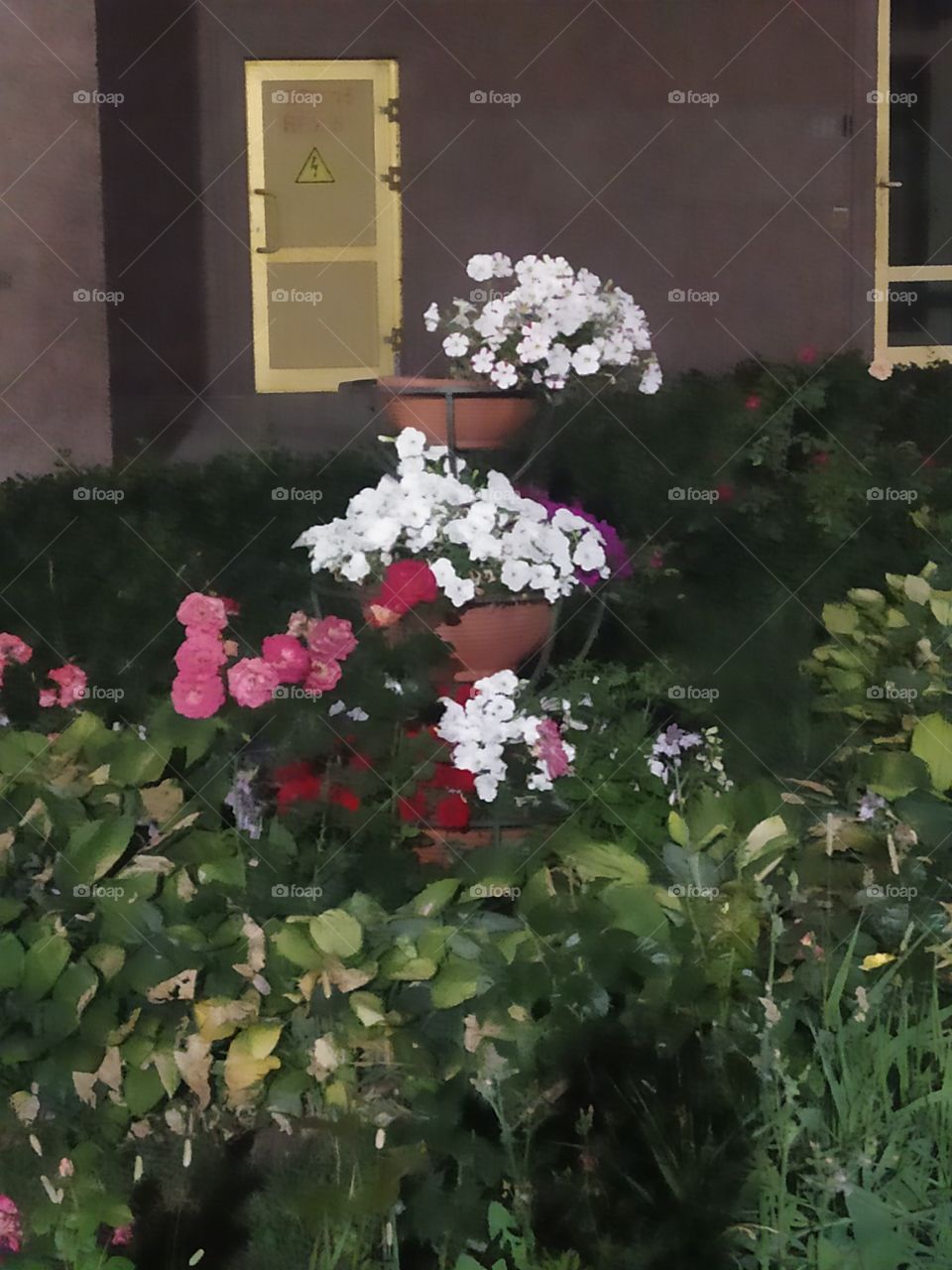 🌞🌞🌞🌞🌞🌞🌞🌞🌝