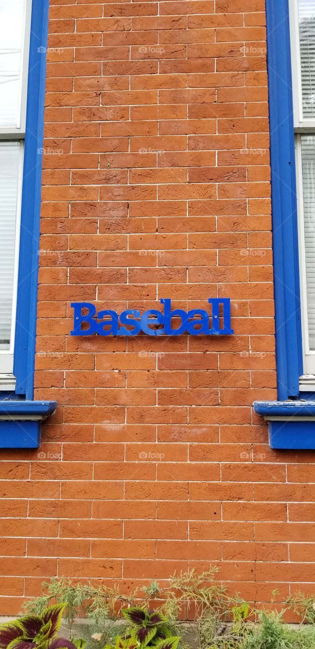 Baseball Wall art