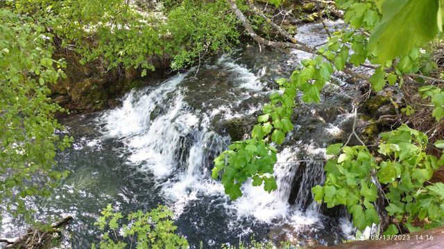 Natur
