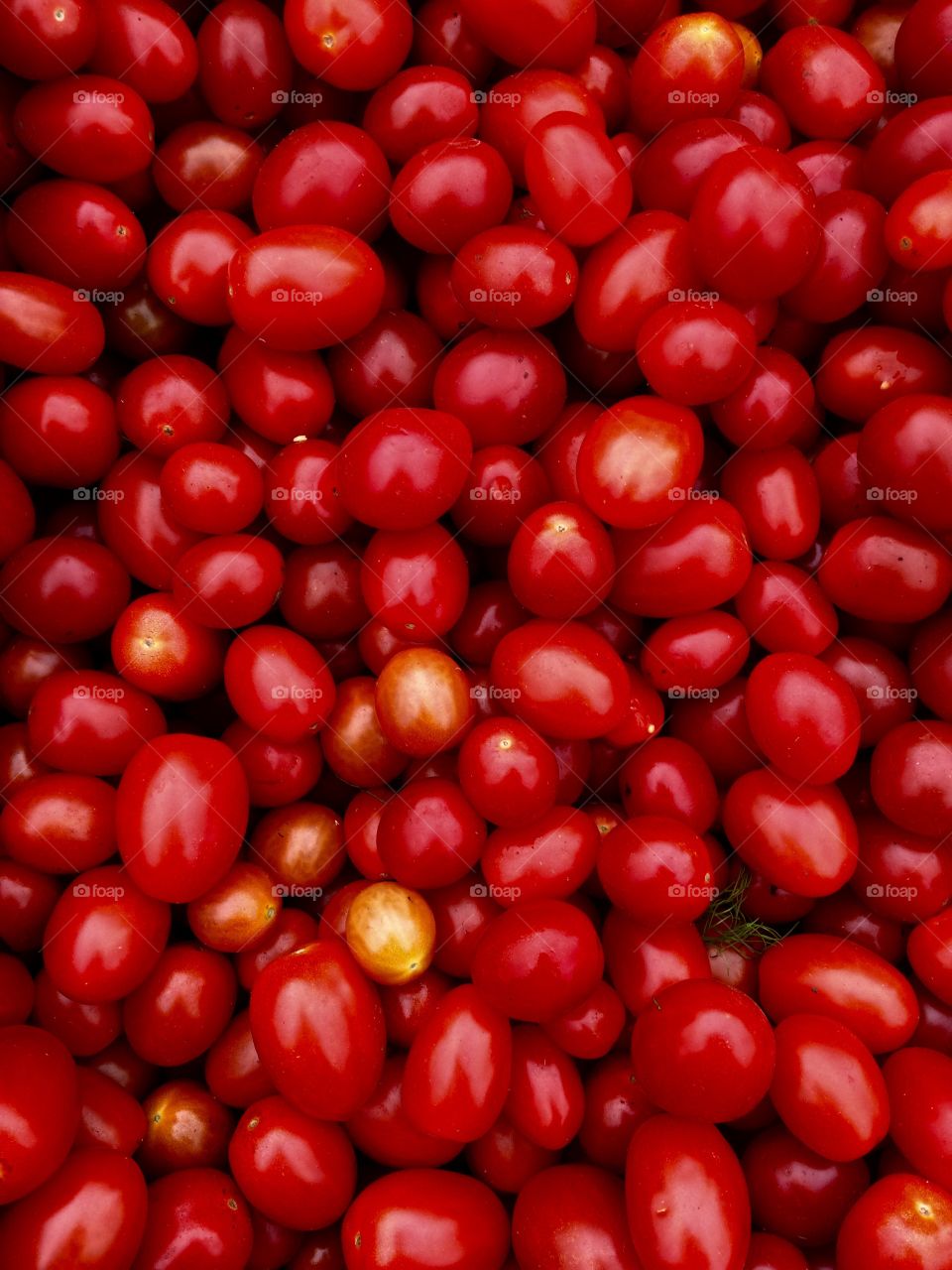 Full frame of tomatoes