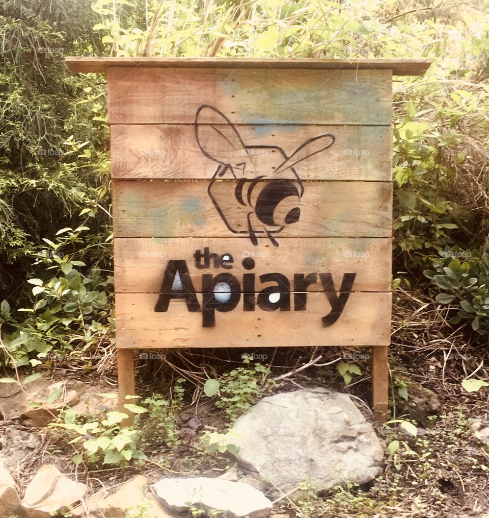 Apiary sign. Bees. Bumblebees. Honey. Summer. Sign. Apiary. Beeswax. Advertisement. Nature. 