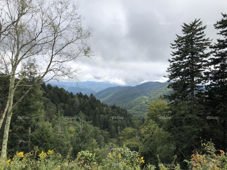 Gorgeous Scenery and Landscape of The Great Smokey Mountains 