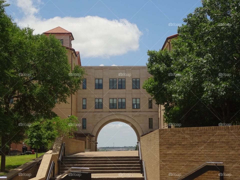 Architecture, Building, City, Tree, Travel