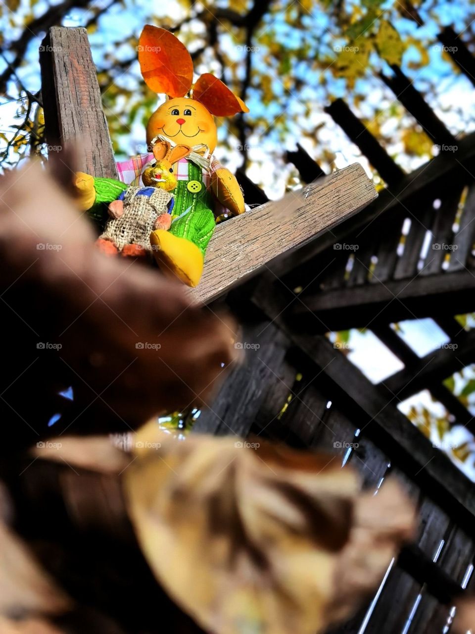 Rabbit! Naure! Nice!