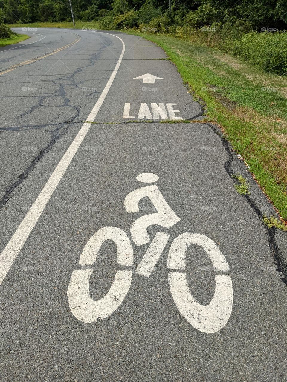 print bike lane