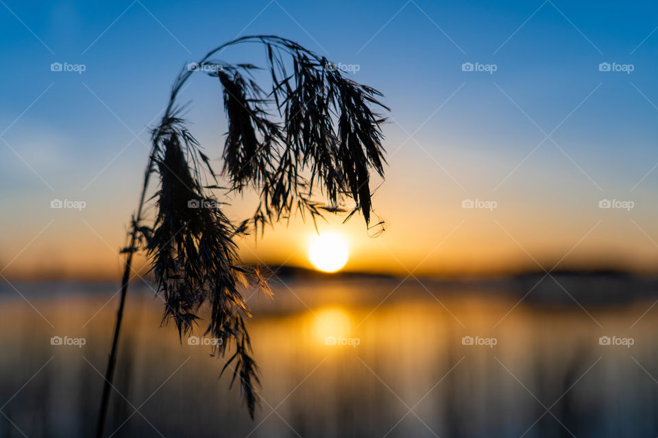 Sun leaving the sky and coloring everything around her with orange color.