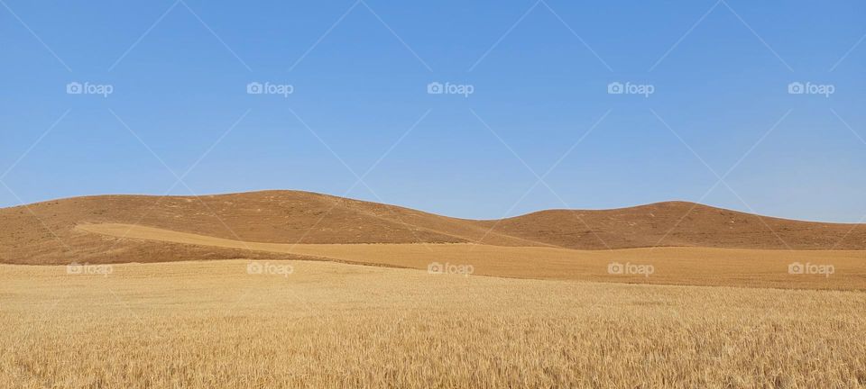 landscape in iran kalaleh