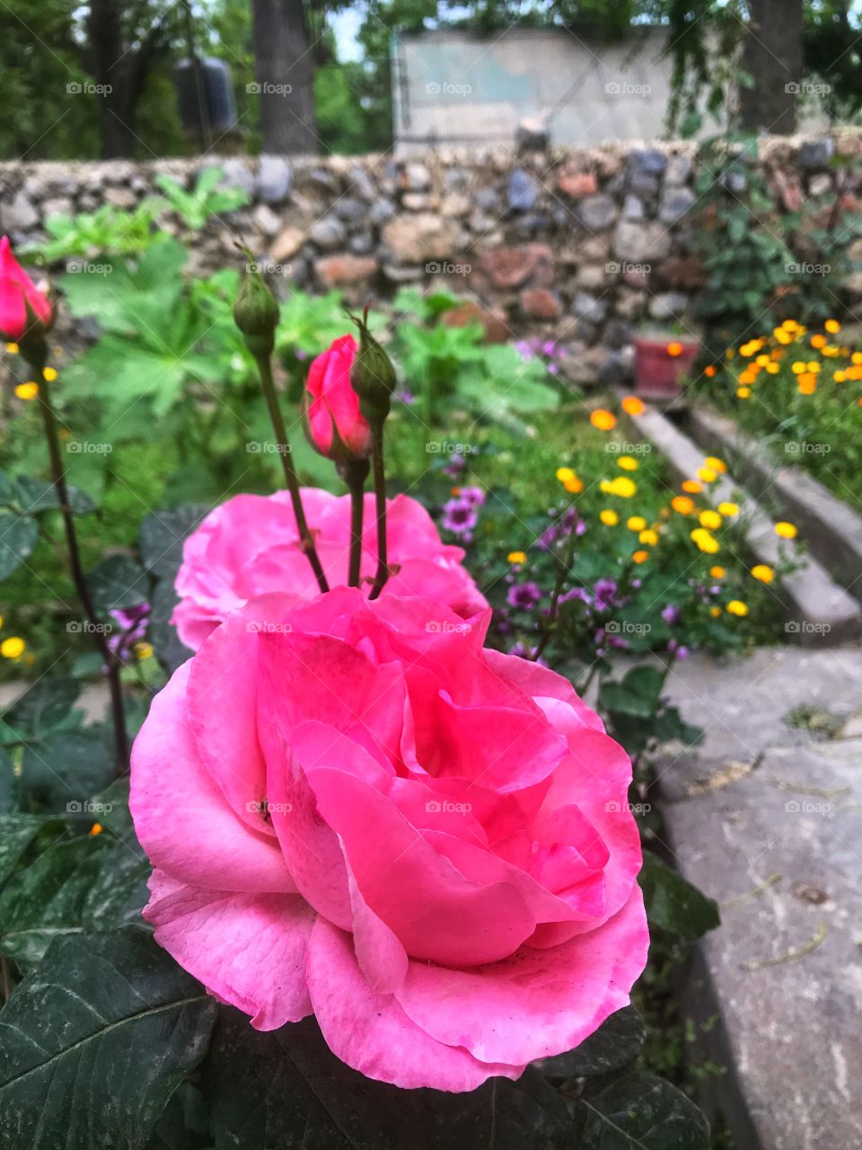 A constant struggle to life is beautiful if taken positively