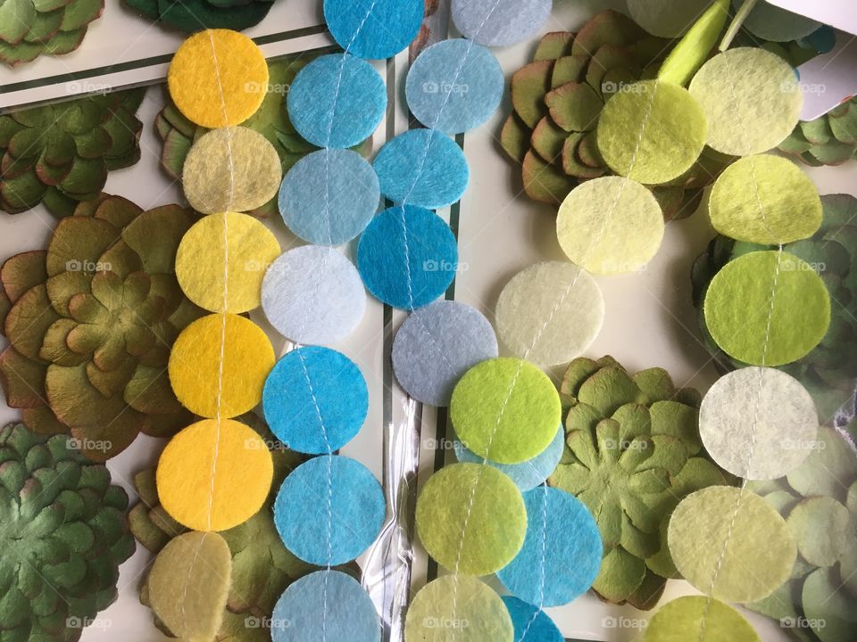 Gold, green and blue party decorations. Felt dots strewn over packs of succulents. 