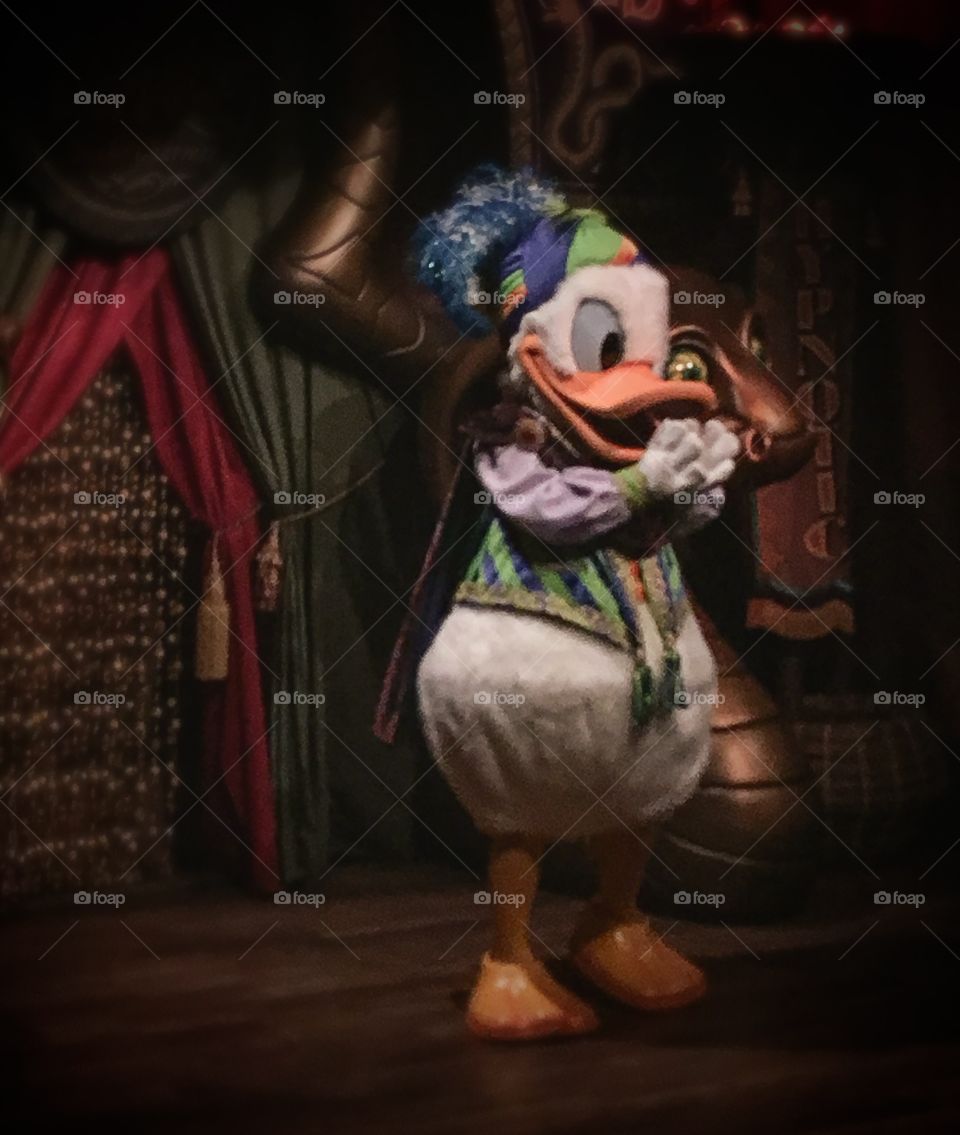 Fortune teller Donald Duck is in the house.  He was fun to visit with and gave us an autograph 