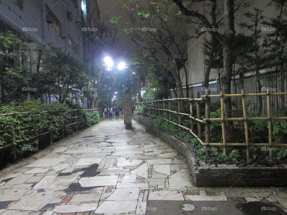 Shinjuku, Tokyo, Japan, Night View of Street