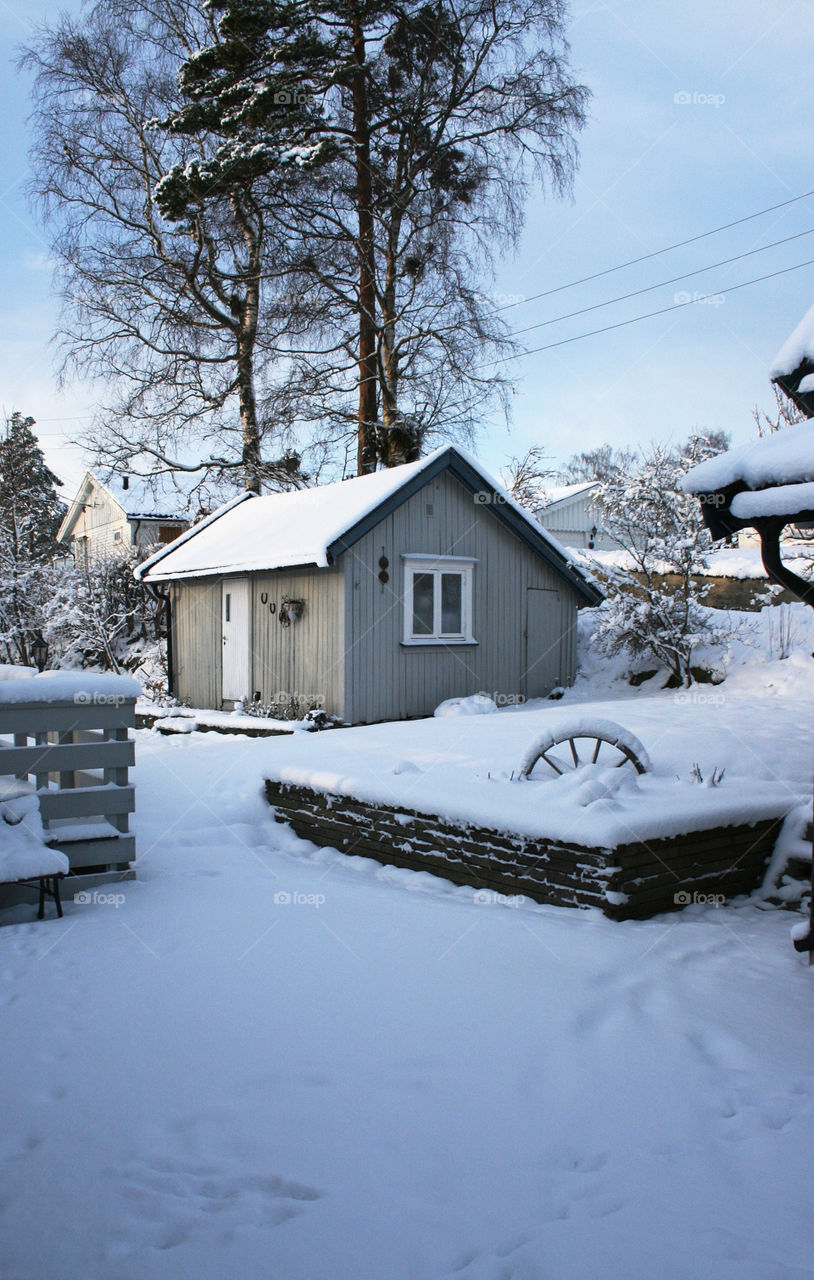 snow winter tree house by wirwo